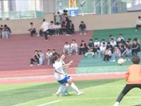 包含摩纳哥势如破竹，队员士气高涨的词条