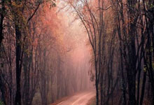 詹姆斯赛事官方发布惊险取胜新规，美国队争议不断！